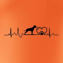 Německý boxer EKG