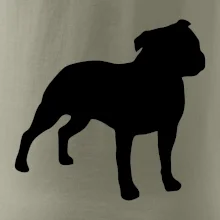 Americký stafordširský teriér  Na prsu