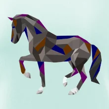 Kůň geometrie barevný