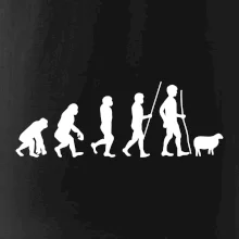 Evoluce pastevec ovcí