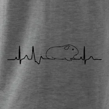 EKG morče EKG morče