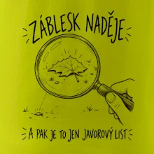 Záblesk naděje