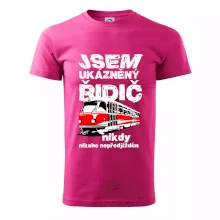 Jsem ukázněný řidič - tramvaj