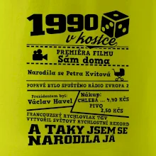 1990 v kostce