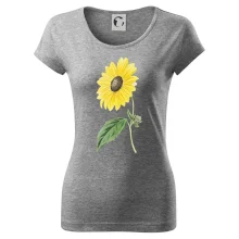 Slunečnice otočená