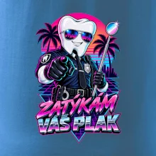 Zatýkám váš plak
