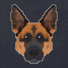 Německý ovčák - Rozkostičkovaný