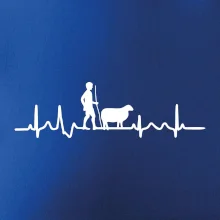 Ekg pastevec ovcí