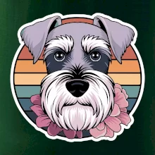 Knírač - fenka a květiny