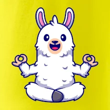 Yoga meditace - lama