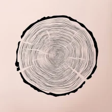 Letokruhy 100 bez věku