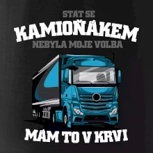 Stát se kamioňákem nebyla moje volba