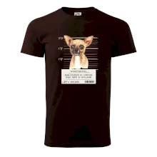 Lump a darebák čivava