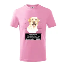 Lump a darebák labrador