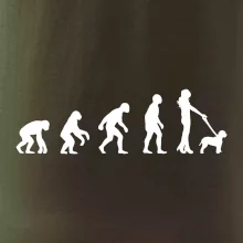 Lagotto romagnolo Evoluce