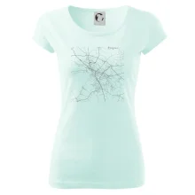 Černobílá mapa Znojmo