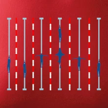 Plavecký bazén žralok