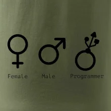 Female male programmer