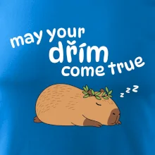 May your dřím come true