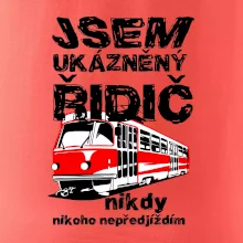 Jsem ukázněný řidič - tramvaj