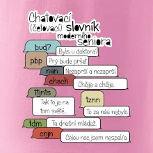 Chatovací slovník moderního seniora (Běžící češtinář)