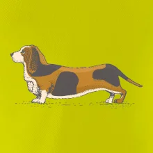 Vintage basset