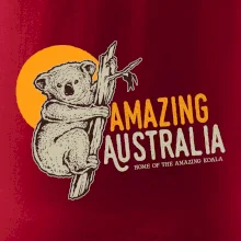 Amazing Australia koala