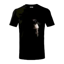 Ragdoll z boku černá fotka