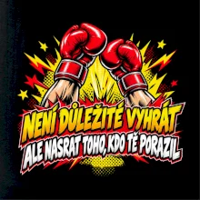 Není důležité vyhrát - komiksové červené boxerské rukavice
