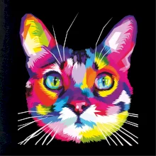 Kočka duhová hlava
