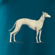 Vintage Whippet