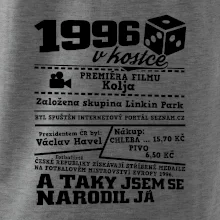 1996 v kostce