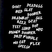 Generace Z - Gen Z slovník