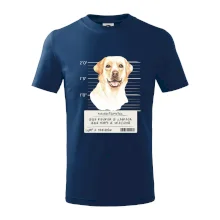 Lump a darebák labrador