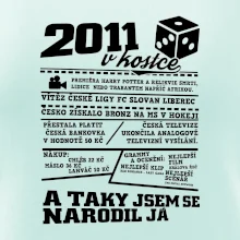 2011 v kostce