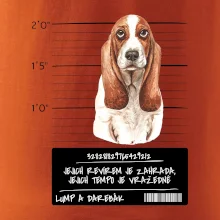 Baset - lump a darebák