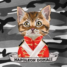 Napoleon domácí kočka