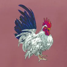 Kohout kreslený bílý