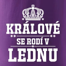 Králové se rodí v lednu