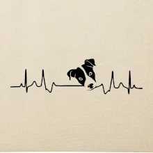 Jack Russell Terriér Ekg