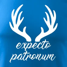 Harry - Expecto patronum