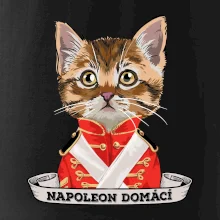 Napoleon domácí kočka