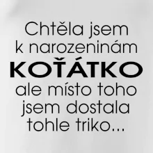 Chtěla jsem dostat k narozeninám koťátko