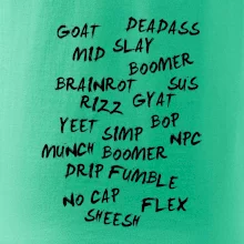 Generace Z - Gen Z slovník