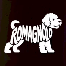 Romagnolo nápis v těle