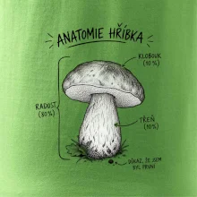 Anatomie hříbka