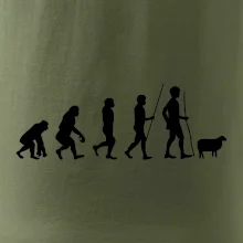 Evoluce pastevec ovcí