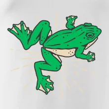 Žába zelená kreslená