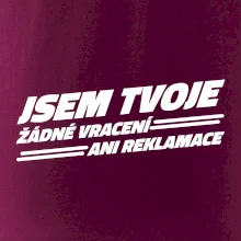 Jsem tvoje žádné vracení Jsem tvoje žádné vracení