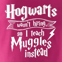 Harry - Hogwarts wasn’t hiring, so I teach Muggles instead